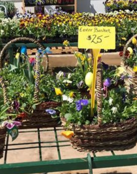 Wiethop Greenhouses St. Louis Area Greenhouses Home